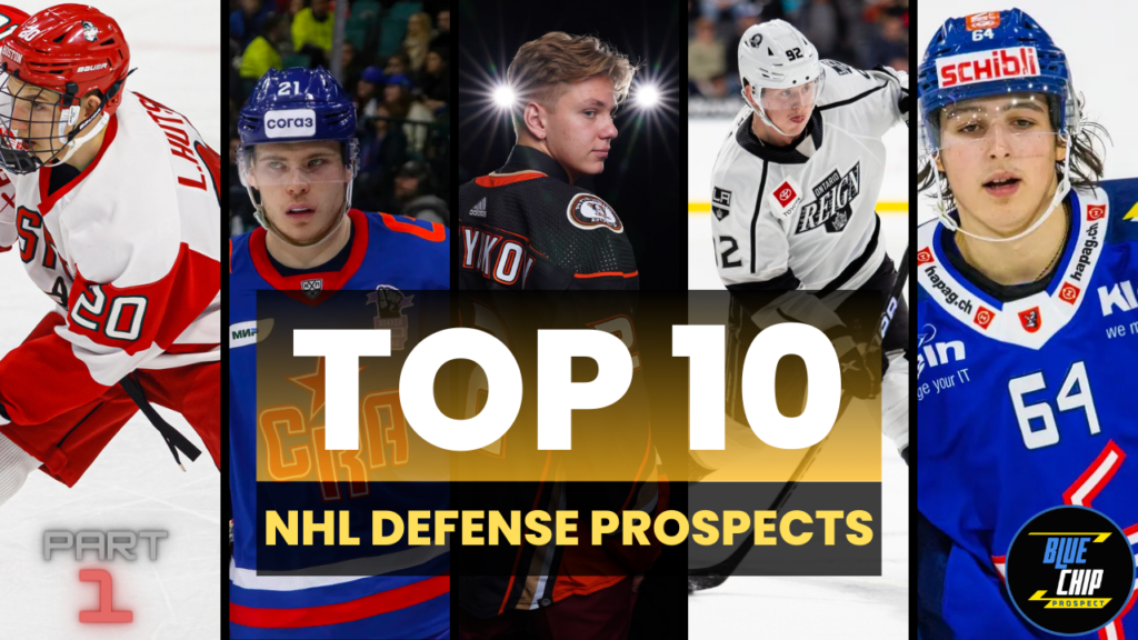 Top 10 Defense Prospects in The NHL Video